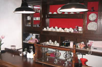 音猫カフェ風景2