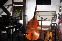 音猫カフェ風景3