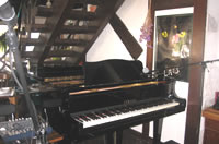 音猫カフェ風景4