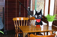 音猫カフェ風景5