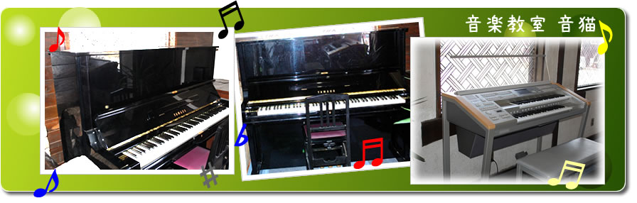 音猫（おとねこ）音楽教室